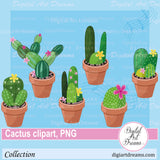 Succulent clip art