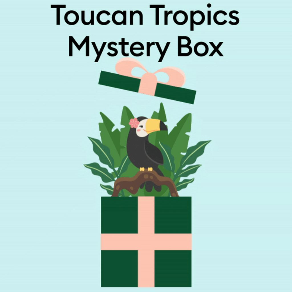 Colorful Toucan Tropics Mystery Box to Brighten the Upcoming Summer 2025