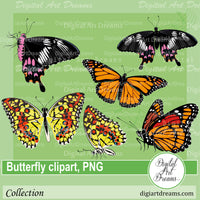 Monarch butterfly png clipart image orange, yellow, black