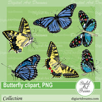 Blue butterfly png images and Swallowtail butterflies