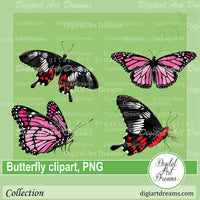 Pink butterfly clipart images png